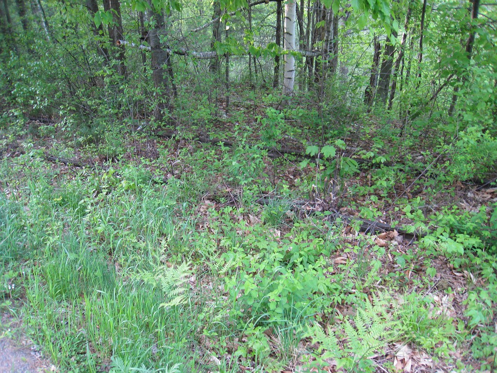 Tilton NH Rail Trail 2010 0345.jpg - Winnipesaukee River Trail, Franklin New HampshireTrestle View ParkInterested in taking a walk or bike ride on a scenic historic trail close to the downtowns of the twin rivers area, yet with the feel of wilderness. A 3 mile trail parallels the Winnipesauke river and passes the historic Sulphite upside down covered bridge believed to be the only one in the country and listed on the national register of historic places. You will also view mill ruins and remaining portions of dams that tell the history of the 5 mills that operated on this river in the mid 19th century.